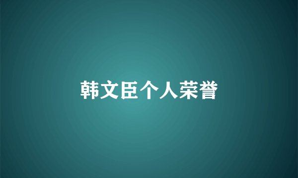 韩文臣个人荣誉
