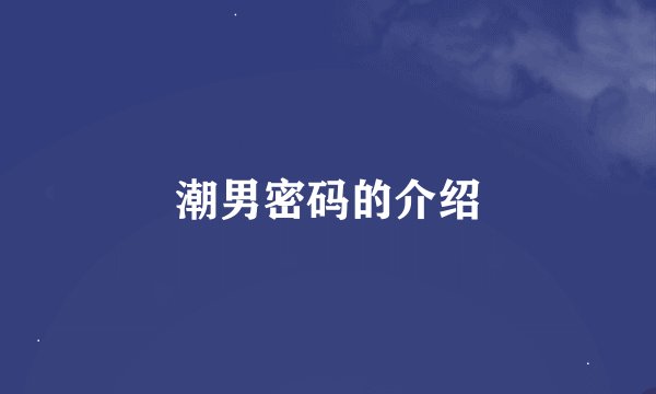 潮男密码的介绍