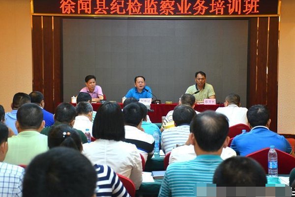 叶语被审查结果是什么？