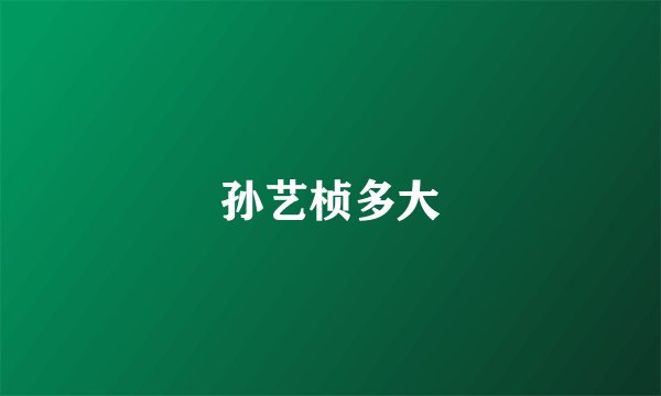 孙艺桢多大