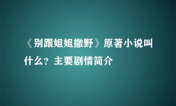 《别跟姐姐撒野》原著小说叫什么？主要剧情简介