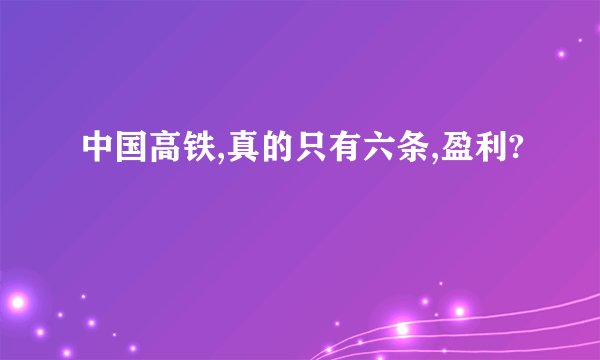 中国高铁,真的只有六条,盈利?