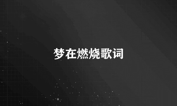 梦在燃烧歌词