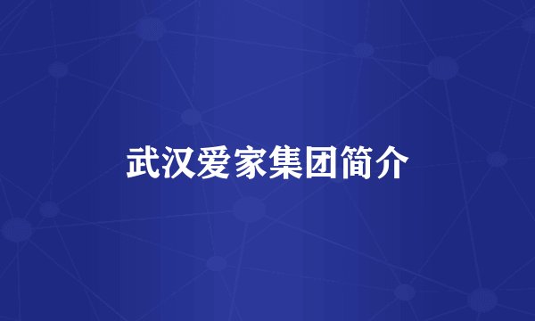 武汉爱家集团简介