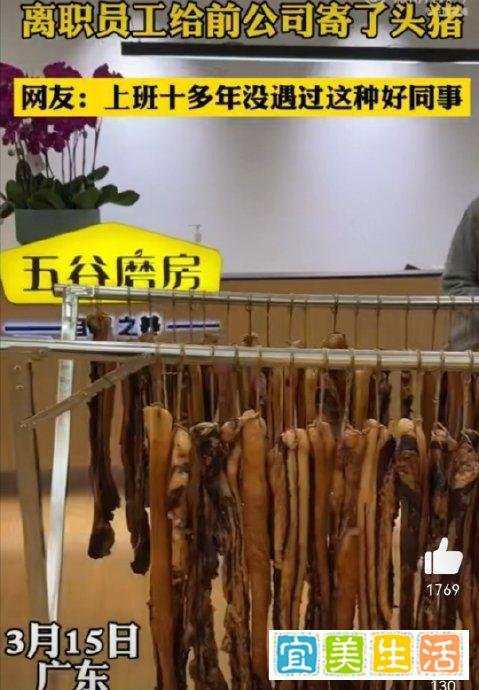 离职员工给前公司寄了头猪。