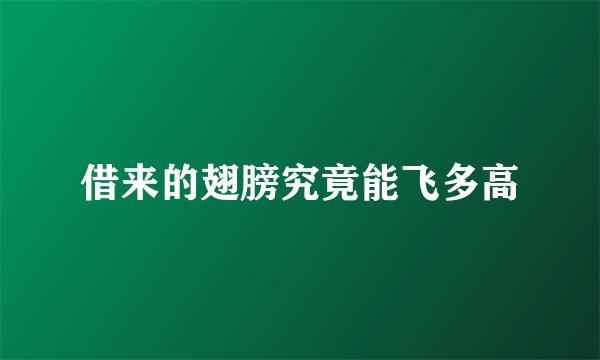 借来的翅膀究竟能飞多高