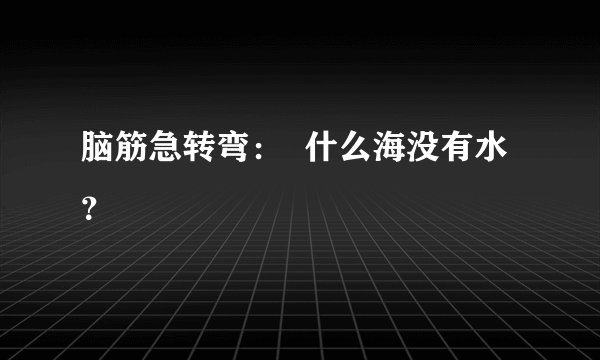 脑筋急转弯：  什么海没有水？