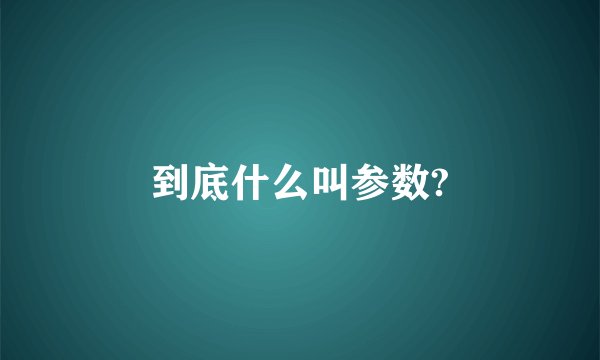 到底什么叫参数?