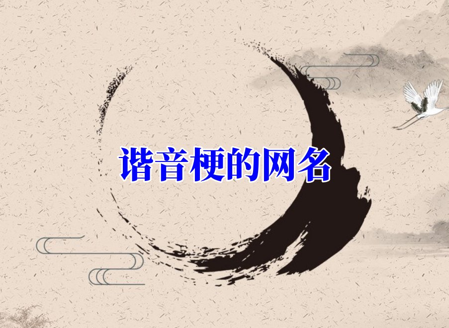 谐音梗的网名