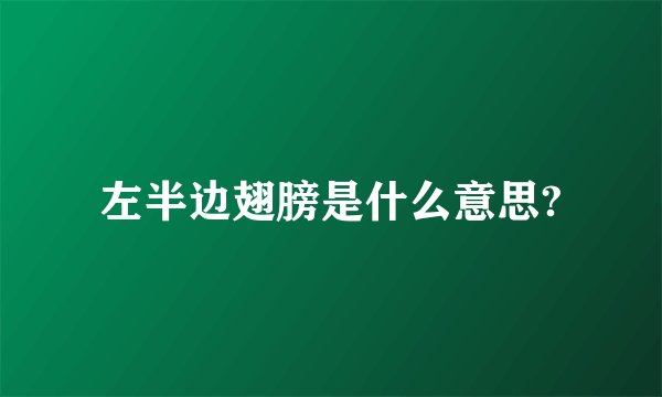 左半边翅膀是什么意思?
