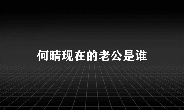 何晴现在的老公是谁
