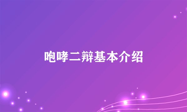 咆哮二辩基本介绍