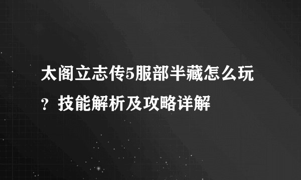 太阁立志传5服部半藏怎么玩？技能解析及攻略详解