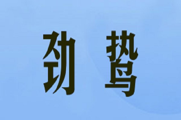 摩托车尾箱十大牌子