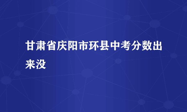 甘肃省庆阳市环县中考分数出来没