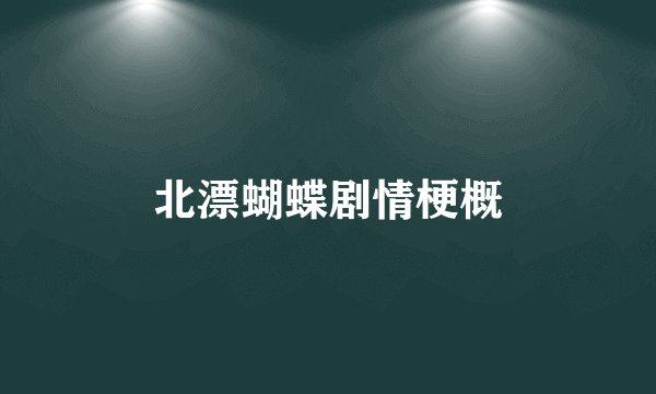 北漂蝴蝶剧情梗概