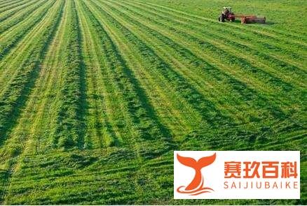 立秋这天,下雨好、还是晴天好?今年收成到底好不好?答案来了