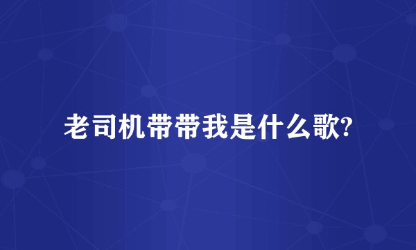 老司机带带我是什么歌?