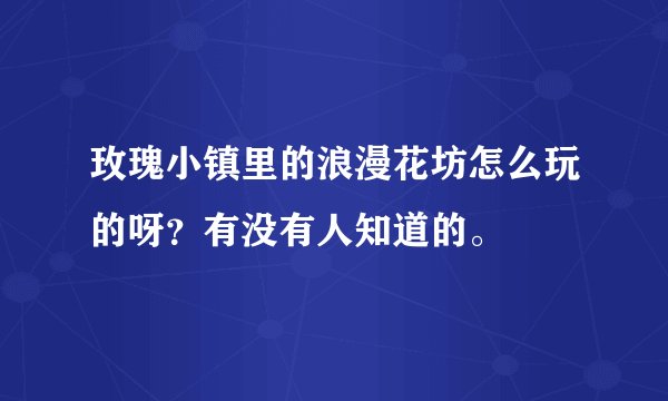 玫瑰小镇里的浪漫花坊怎么玩的呀?有没有人知道的。