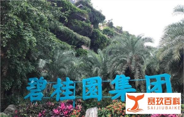 中国销售规模最大交楼最多的碧桂园也暴雷了