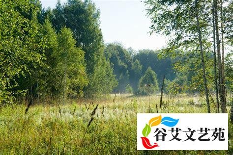 立春到了，农民认为立春是晴天好，还是雨天好？有道理吗？