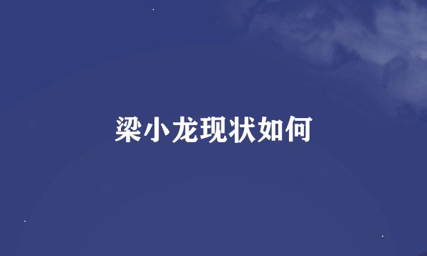 梁小龙现状如何