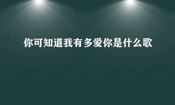 你可知道我有多爱你是什么歌