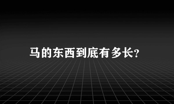 马的东西到底有多长？