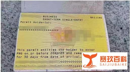 巴布亚新几内亚签证类型详情解析