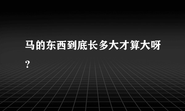 马的东西到底长多大才算大呀?