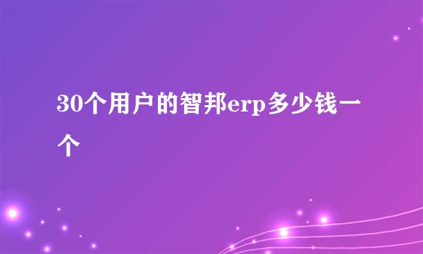 30个用户的智邦erp多少钱一个