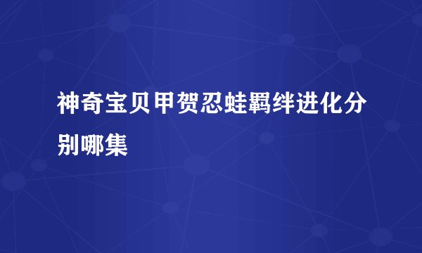 神奇宝贝甲贺忍蛙羁绊进化分别哪集