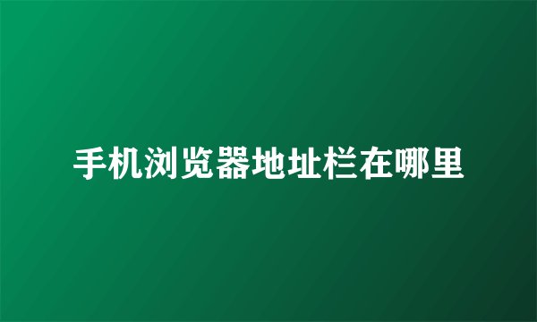 手机浏览器地址栏在哪里