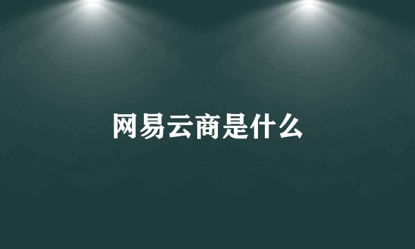 网易云商是什么