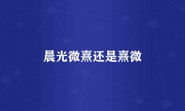 晨光微熹还是熹微