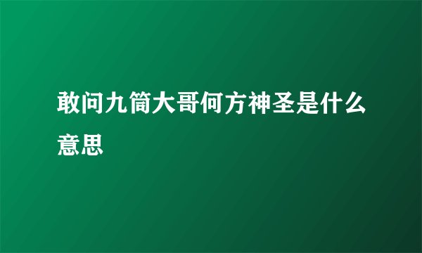 敢问九筒大哥何方神圣是什么意思
