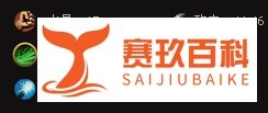 dota2冥界亚龙- VP攻略