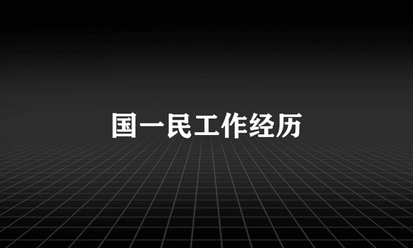 国一民工作经历