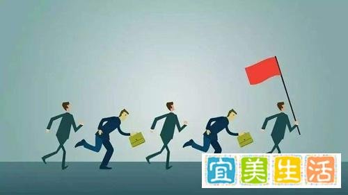 兔子与骆驼