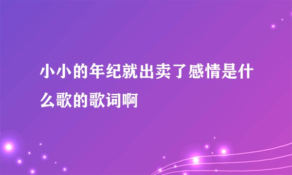小小的年纪就出卖了感情是什么歌的歌词啊