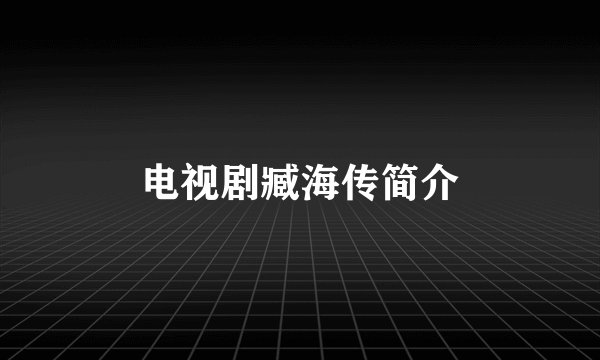 电视剧臧海传简介