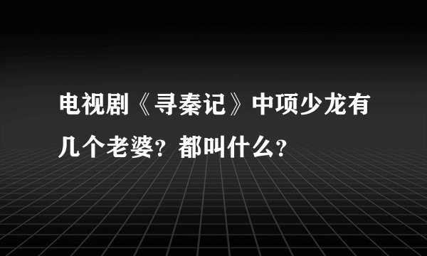 电视剧《寻秦记》中项少龙有几个老婆？都叫什么？