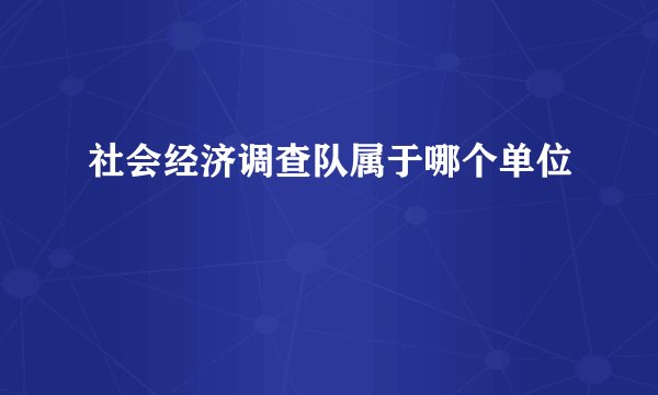 社会经济调查队属于哪个单位