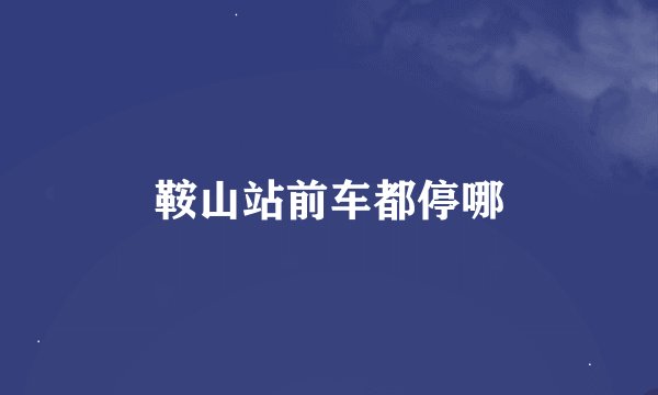 鞍山站前车都停哪