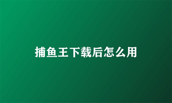 捕鱼王下载后怎么用