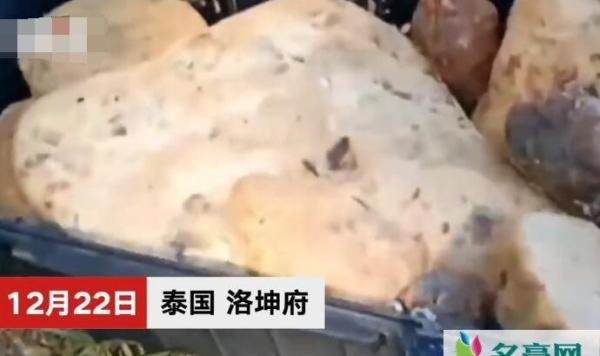 捡石头价值近百万 男子随意捡的破石头竟价值不菲令网友羡慕