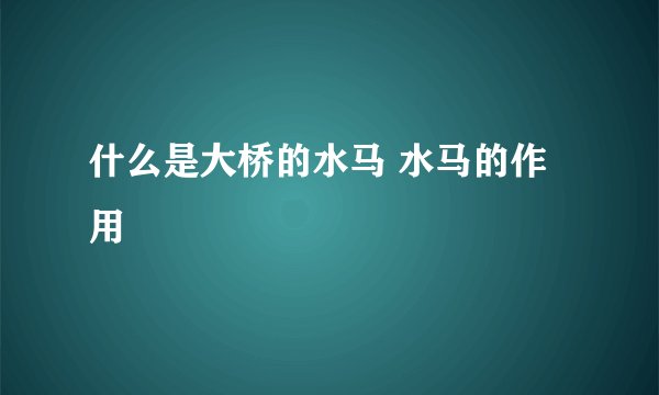 什么是大桥的水马 水马的作用