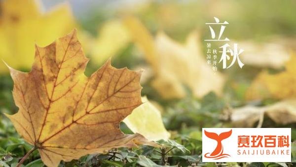 立秋这天,下雨好、还是晴天好?今年收成到底好不好?答案来了
