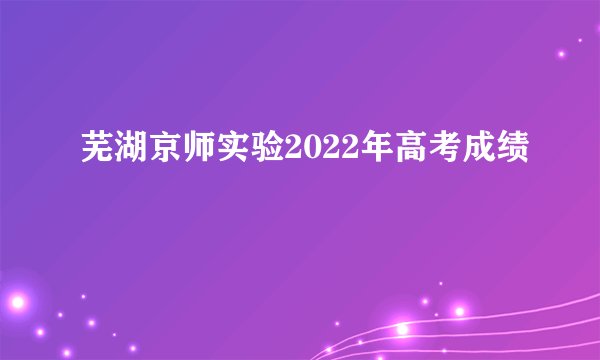 芜湖京师实验2022年高考成绩