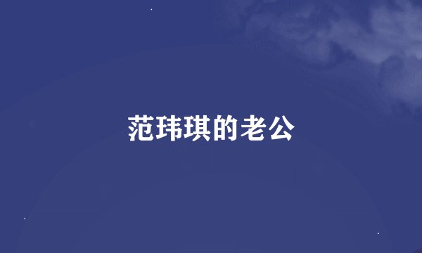 范玮琪的老公